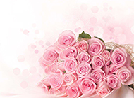 浪漫唯美粉玫瑰花束摄影大图