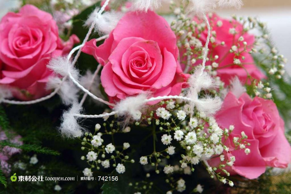 点击大图看下一张：唯美的粉玫瑰花束高清图片赏析