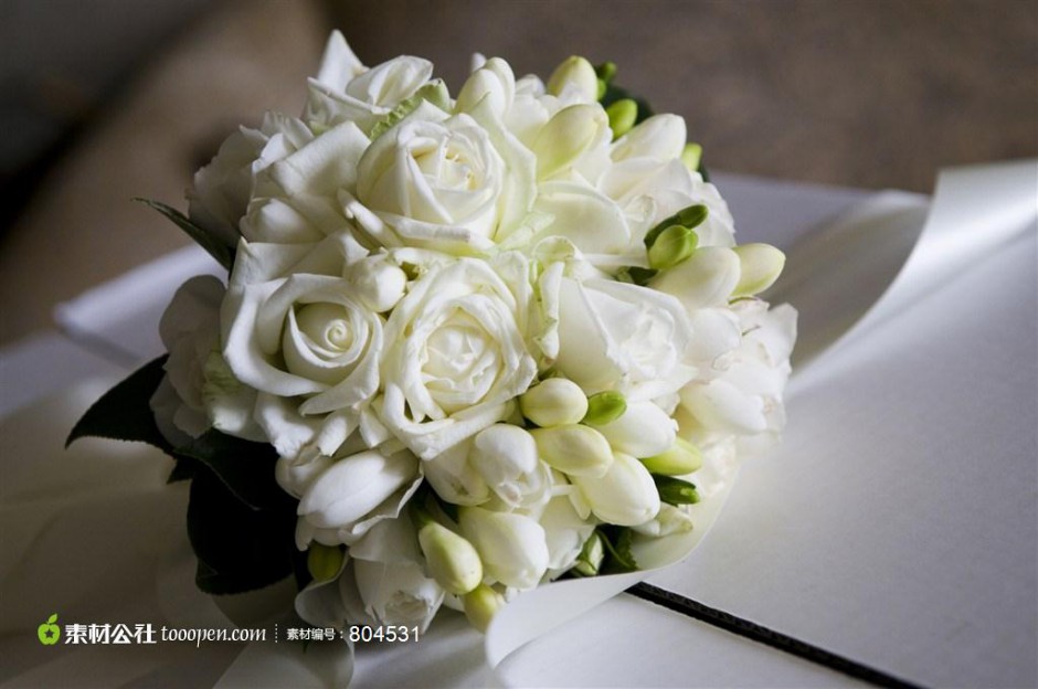 点击大图看下一张：唯美的情人节白色玫瑰图片