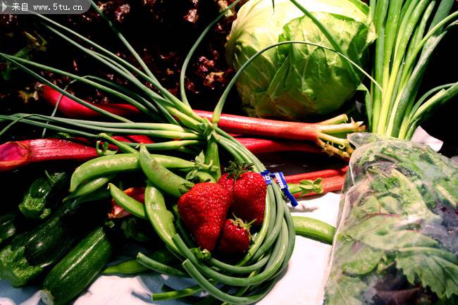 点击大图看下一张：富含维生素的新鲜蔬菜图片