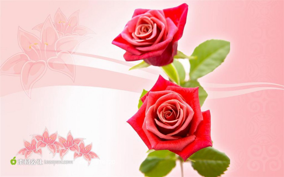 点击大图看下一张：粉色玫瑰花百合花纹幻灯片背景图片