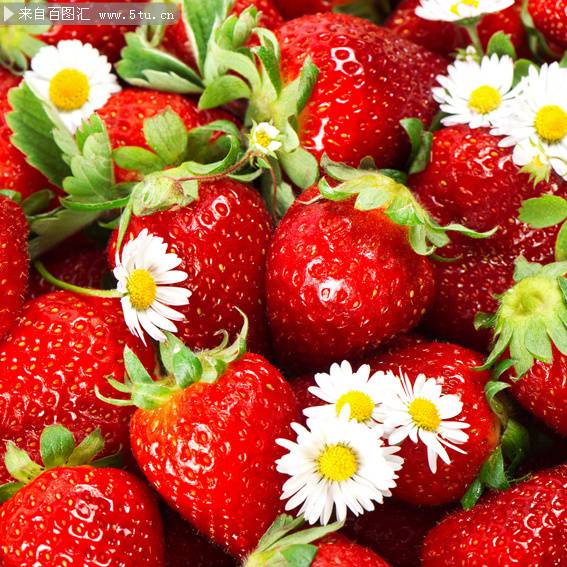 点击大图看下一张：一堆洗好的草莓超清图片
