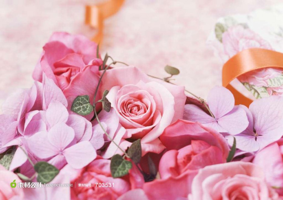 点击大图看下一张：唯美纯真的粉色玫瑰背景图片