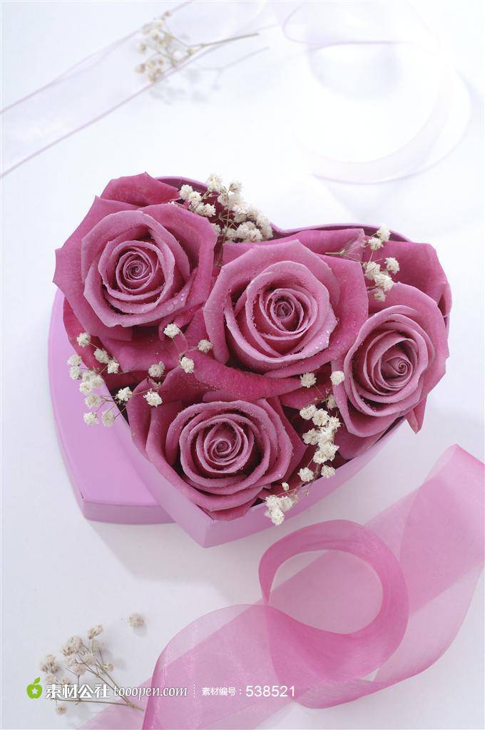 点击大图看下一张：心形礼盒里的紫玫瑰图片