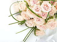 唯美高清粉玫瑰花束图片