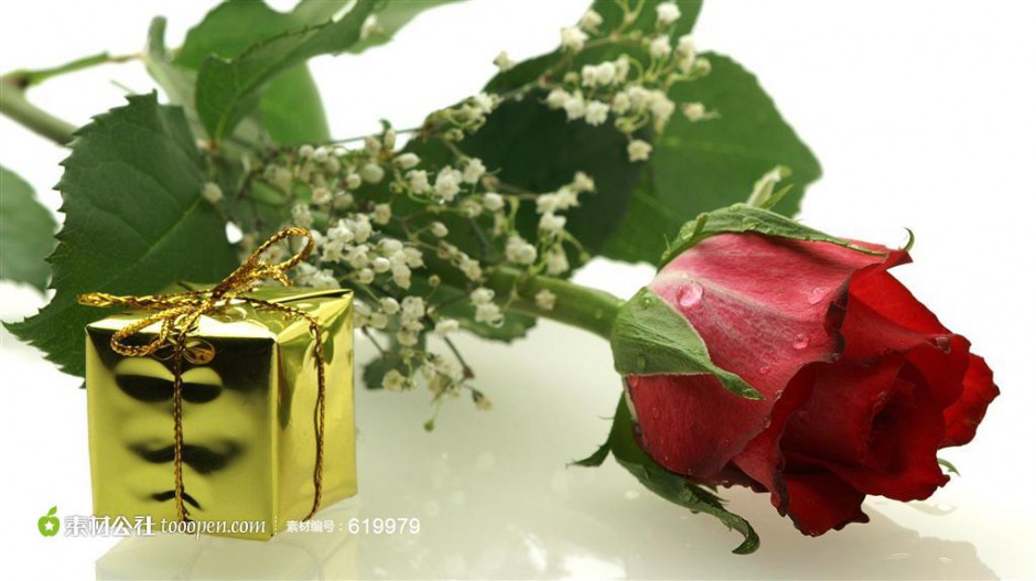 点击大图看下一张：美丽的红玫瑰和礼物摄影图片