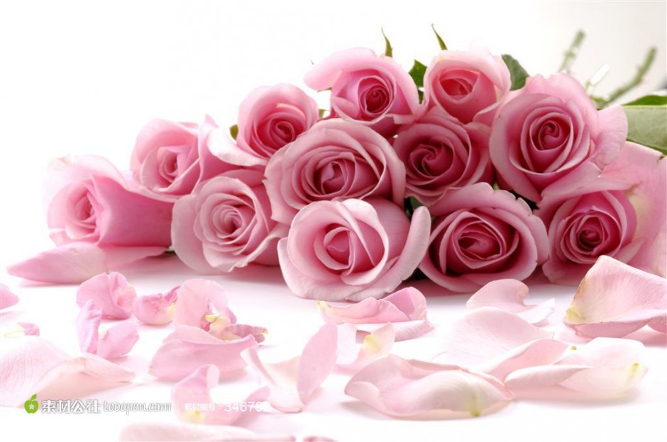 点击大图看下一张：粉玫瑰花束图片高清精美