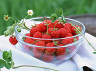 新鲜酸甜的小草莓图片