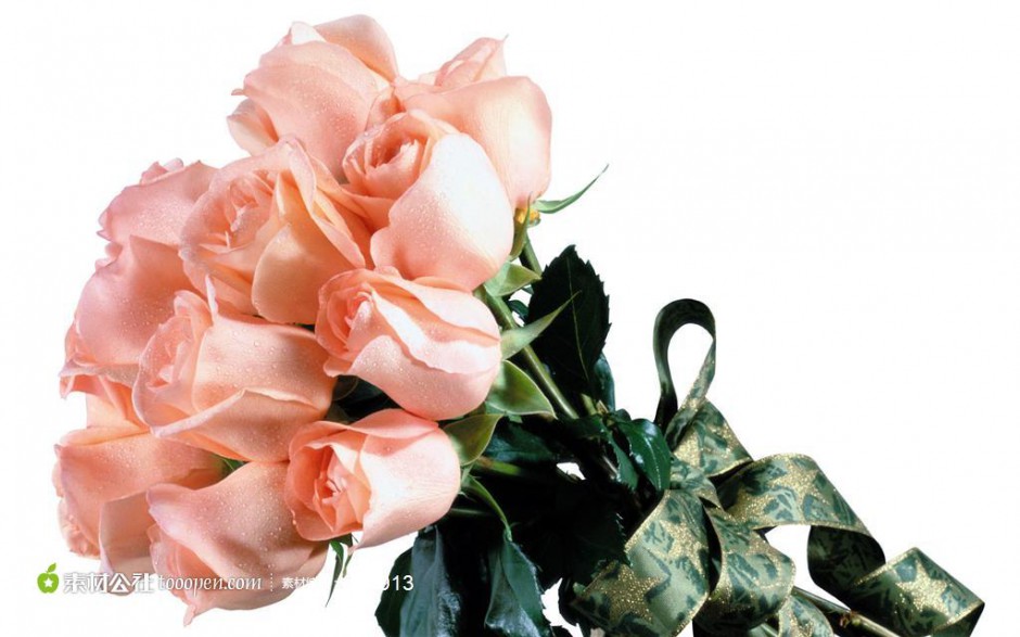 点击大图看下一张：一束美丽诱人的香槟玫瑰图片