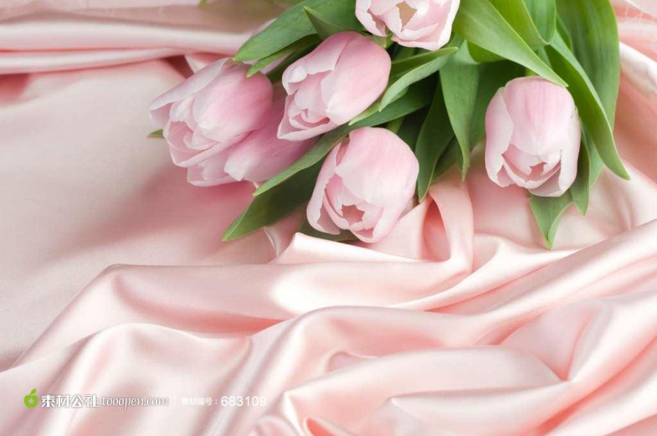 点击大图看下一张：浪漫粉色郁金香花束图片