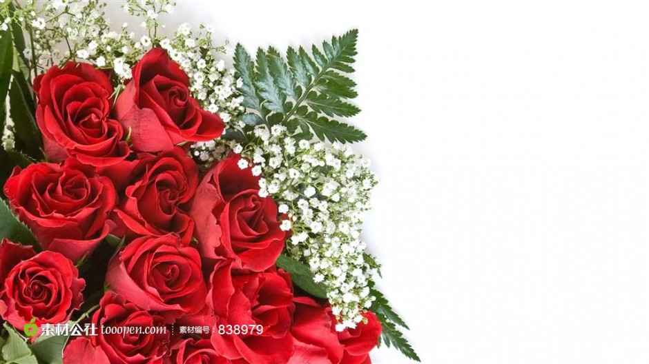 点击大图看下一张：鲜艳的玫瑰花图片素材
