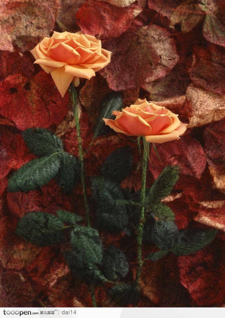 点击大图看下一张：唯美鲜花黄玫瑰艺术插花图片素材