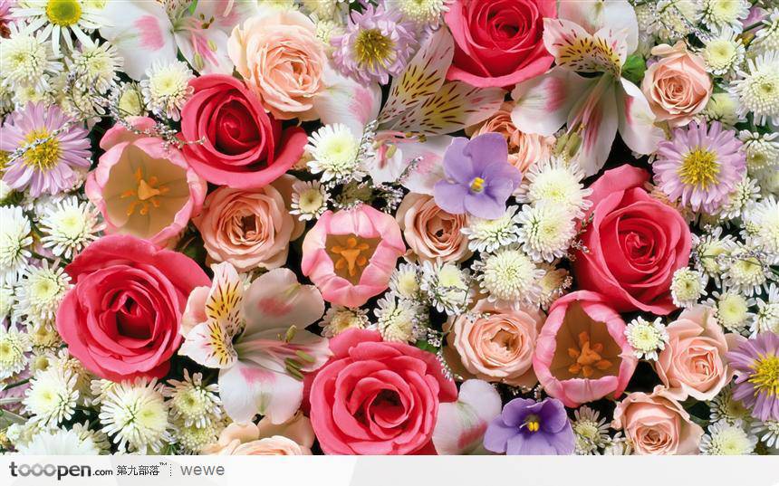 点击大图看下一张：五彩缤纷的情人节玫瑰花图片
