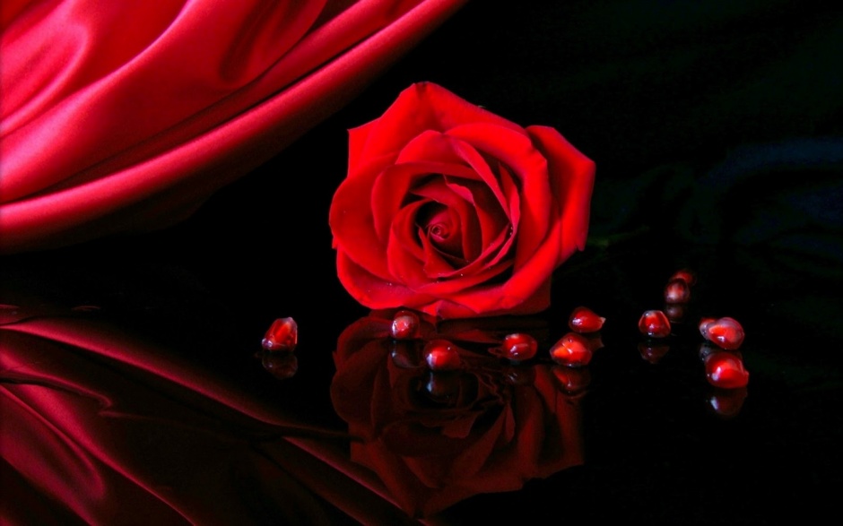 点击大图看下一张：浪漫甜蜜的路易十四玫瑰花图片