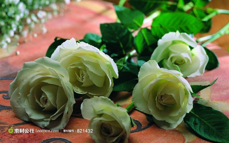 点击大图看下一张：纯洁高贵的唯美白玫瑰图片