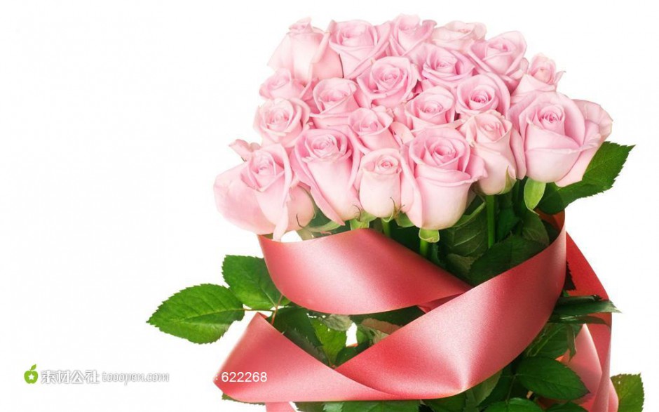 点击大图看下一张：浪漫的20朵粉玫瑰高清大图