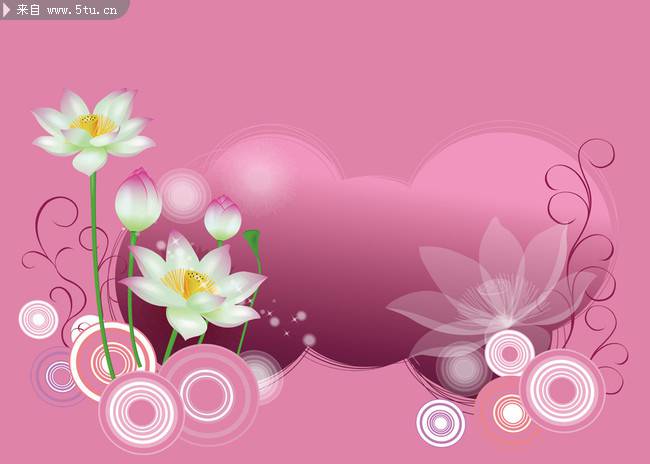 点击大图看下一张：简单精美的粉色莲花背景图片