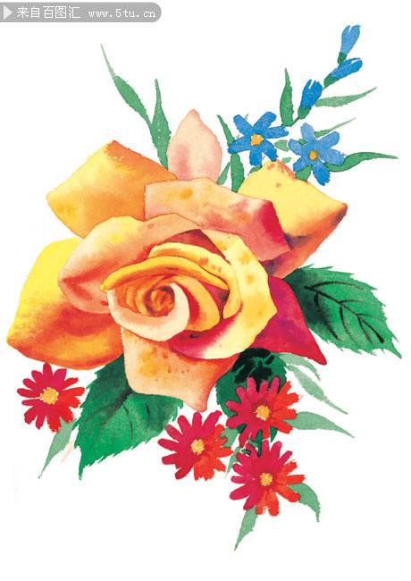 点击大图看下一张：玫瑰花水彩画图片素材优雅清新
