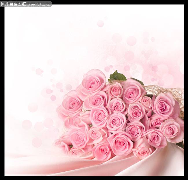 点击大图看下一张：粉色玫瑰背景素材清新唯美