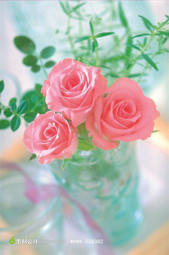 点击大图看下一张：好看唯美的粉玫瑰摆设图片