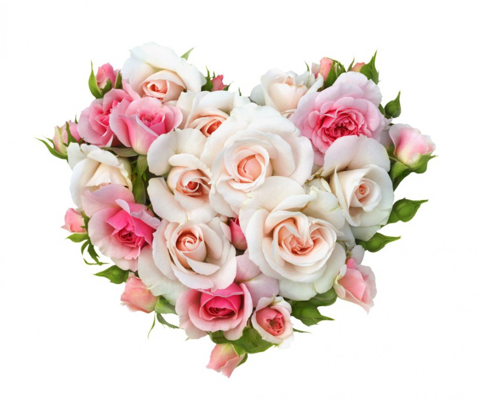 点击大图看下一张：淡雅心形玫瑰花素材