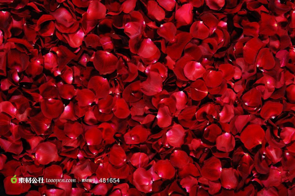 点击大图看下一张：火红玫瑰浪漫风景唯美壁纸