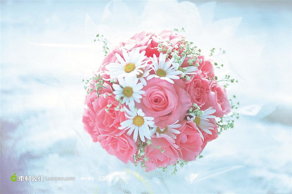 点击大图看下一张：浪漫情人节主题粉玫瑰精致背景图片