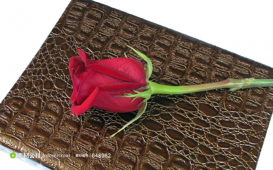 点击大图看下一张：笔记本上的玫瑰花艺术照