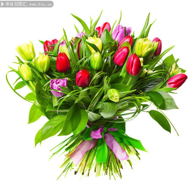 点击大图看下一张：唯美浪漫的郁金香花束图片