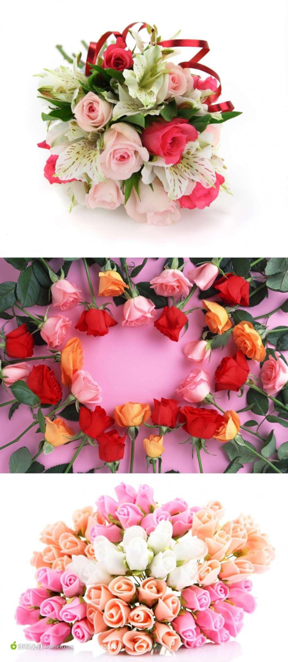 点击大图看下一张：五颜六色的玫瑰花图片素材