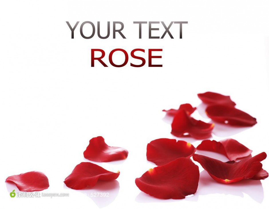 点击大图看下一张：散落的红玫瑰花瓣背景素材