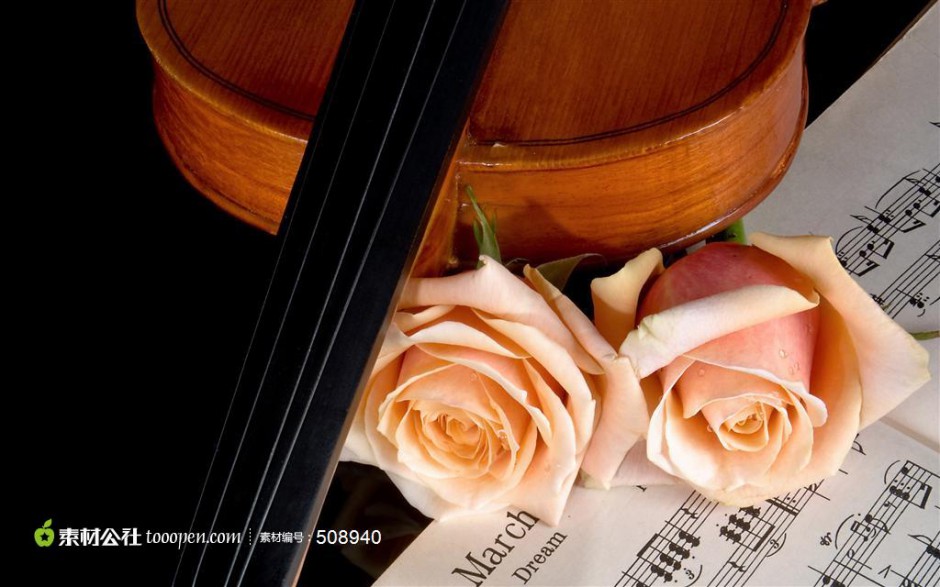 点击大图看下一张：吉他与玫瑰花艺术图片
