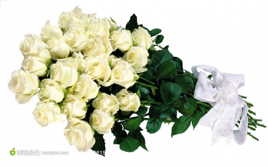 点击大图看下一张：一束白玫瑰鲜花高清图片