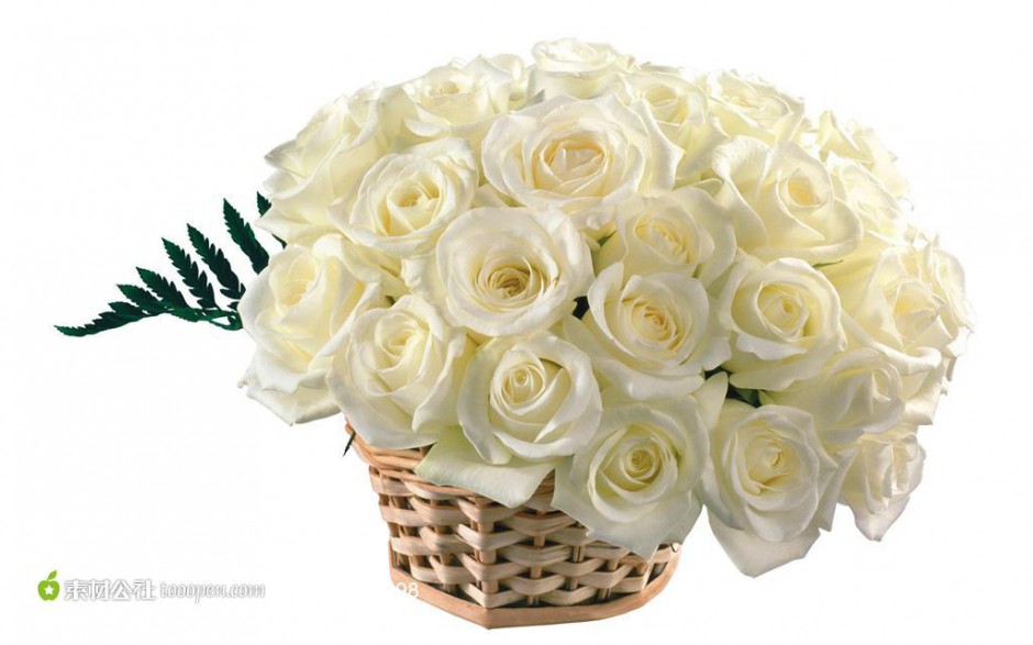 点击大图看下一张：竹篮里的白玫瑰高清图片