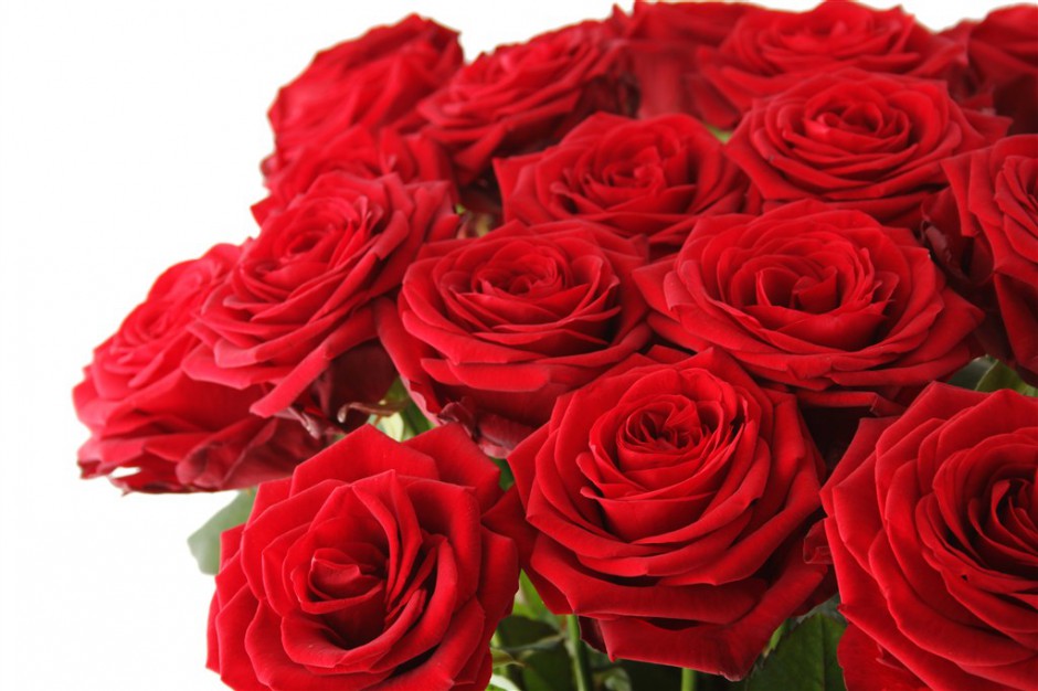 点击大图看下一张：情人节红玫瑰花图片素材