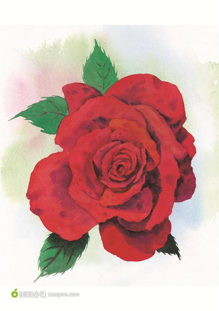点击大图看下一张：彩绘玫瑰花艺术图片素材欣赏