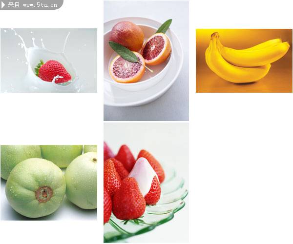 点击大图看下一张：热带水果植物香蕉图片素材分享