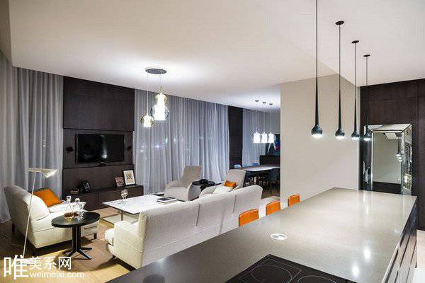 点击大图看下一张：现代公寓设计效果图奢华优雅