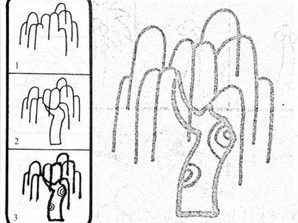 关于柳树的简笔画画法