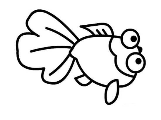 幼儿园金鱼简笔画