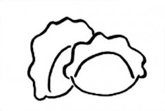 食物简笔画图片：饺子