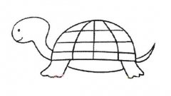 幼儿园小乌龟简笔画图片