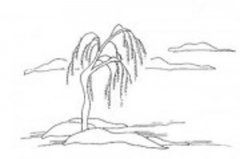 风景简笔画：河边的柳树