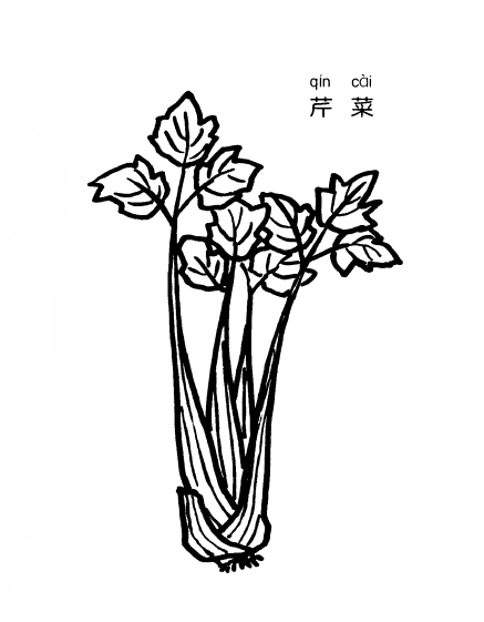 芹菜简笔画