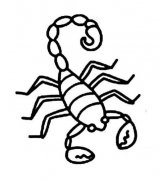 关于毒蝎子的简笔画图片