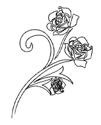 儿童花卉简笔画：三朵玫瑰