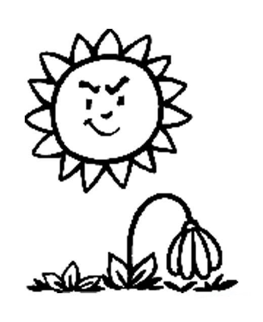 儿童简笔画：太阳烤焦花朵