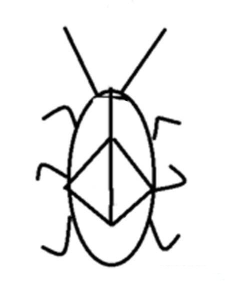 幼儿园简单的蟑螂简笔画图片