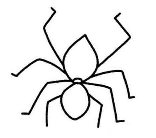 线描手绘蜘蛛简笔画图片