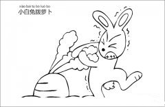小白兔拨萝卜简笔画